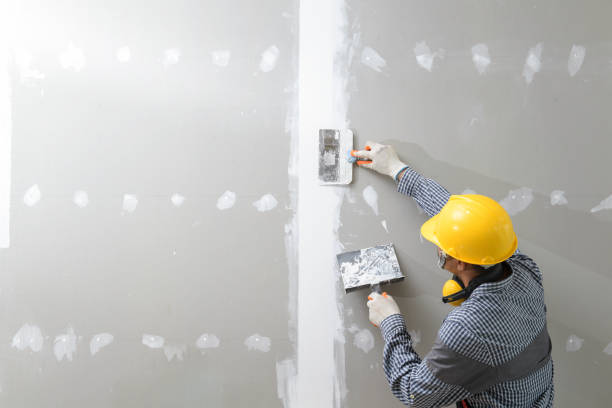 Best Basement Mold Removal  in Kamiah, ID