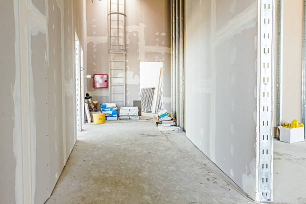Best Forensic Mold Investigation  in Kamiah, ID