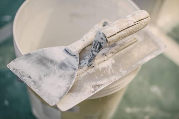 Best Post-Construction Mold Inspection  in Kamiah, ID