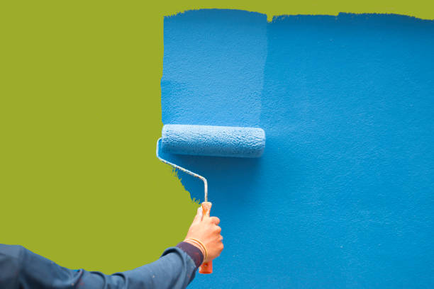 Best Attic Mold Removal  in Kamiah, ID